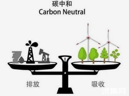 不仅只有发电！生物质能产业规模将超6千亿！